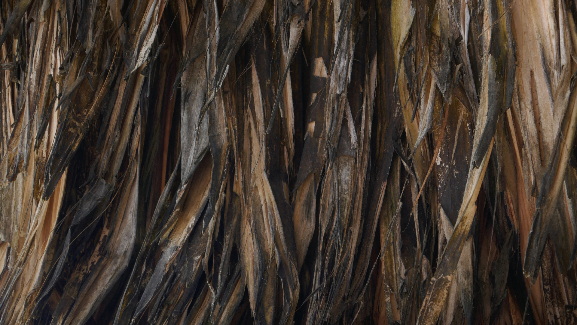 2022-10-29 13 Uhr 27 Playa Kalki (Foto, Video)